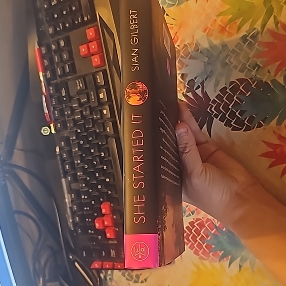 She Started It a novel by Sian Gilbert - Picture 3 of 5